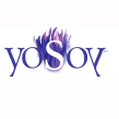 CURSO YOSOY